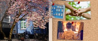 27-02 Traumazentrierte Familientherapie – Hilfe für belastete Kinder und ihre Angehörigen