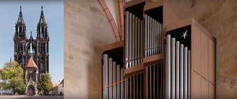 Domorgel