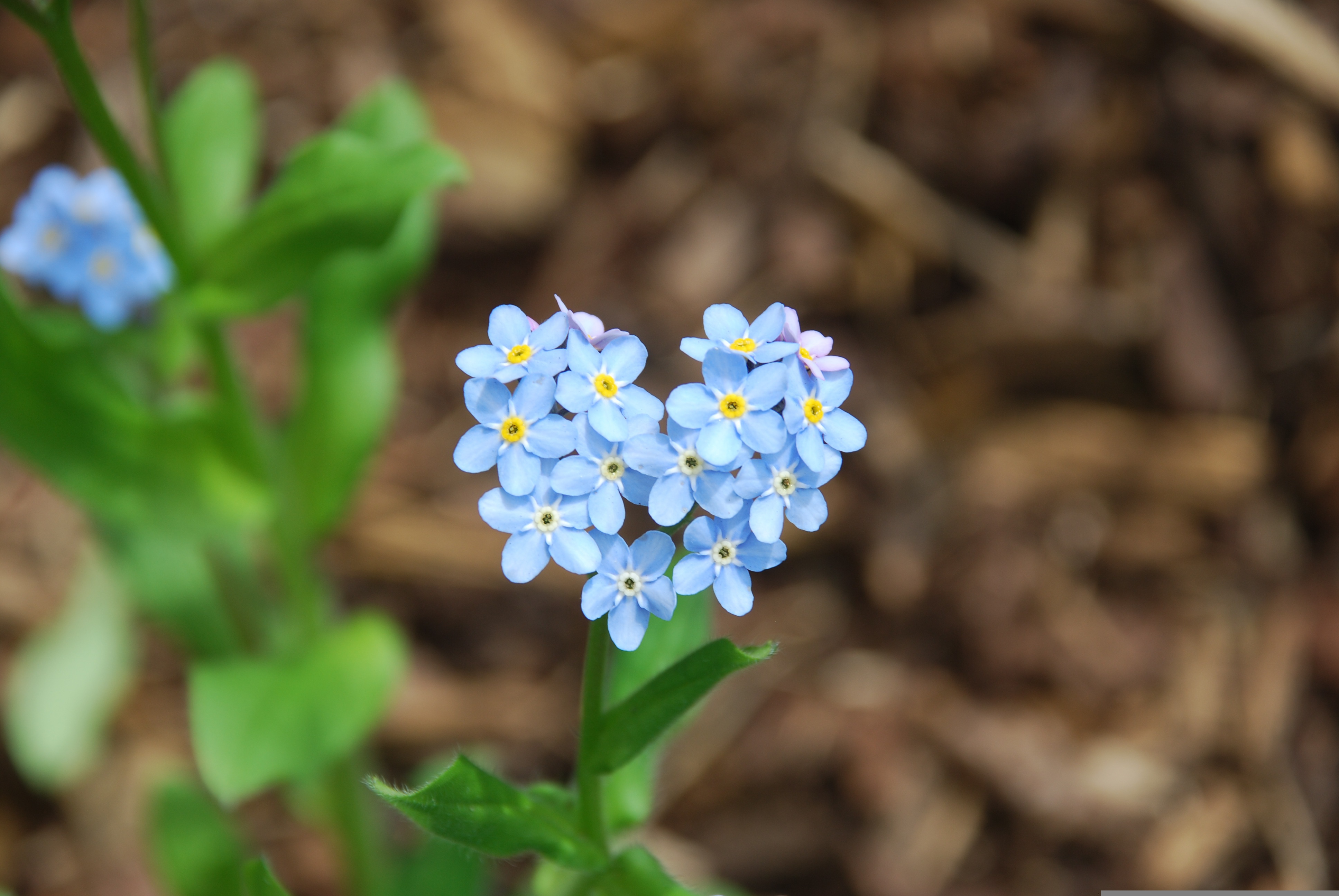 Projekte zur Verbesserung der Palliativpflege und der Sterbebegleitung