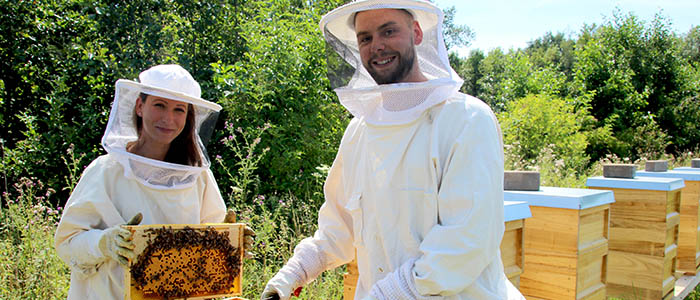 Bienenprojekt der Werkstatt Waltrop