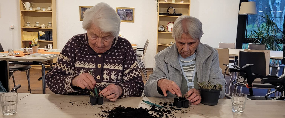 25-3 Gemeinsames Gärtnern in der Seniorenwohnanlage Fritz-Heuner-Heim